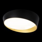 Потолочный светильник Loft it 10199 Black Coin