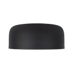 Потолочный светильник Loft it 10201/350 Black Axel