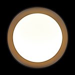 10202 BB  Потолочный светильник  LOFT IT Coin