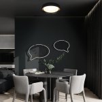 10202 BB  Потолочный светильник  LOFT IT Coin