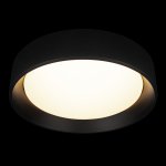 10202 BB  Потолочный светильник  LOFT IT Coin