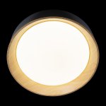 Потолочный светильник Loft it 10202 Black Coin