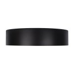 Потолочный светильник Loft it 10202 Black Coin