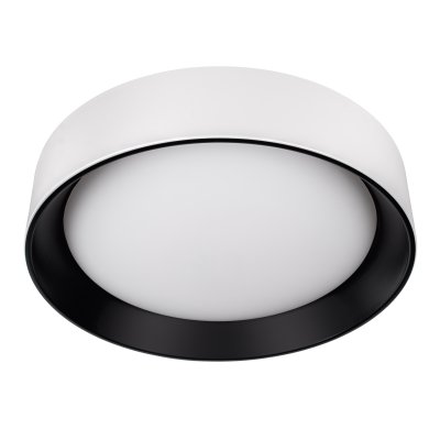 10202 WB  Потолочный светильник  LOFT IT Coin