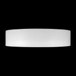 10202 WB  Потолочный светильник  LOFT IT Coin