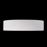 Потолочный светильник Loft it 10202 White Coin