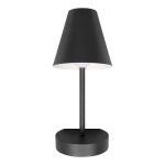 Настенные светильники Loft it 10216/1W Black Shelf