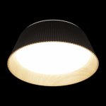 Потолочные светильники Loft it 10224 Black Evans