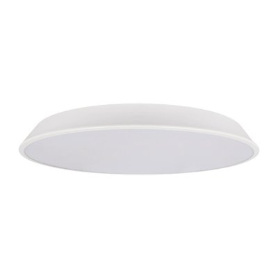 Потолочные светильники Loft it 10226 White Brim