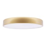 Потолочный светодиодный светильник 400мм 24Вт Loft it 10228/A Flims