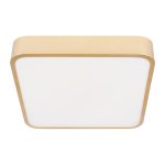 Потолочные светильники Loft it 10228/C Flims