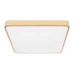 Потолочные светильники Loft it 10228/D Flims