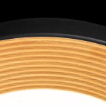 10255/500 Black Потолочный светильник LOFT IT Folk