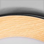 10255/500 Black Потолочный светильник LOFT IT Folk