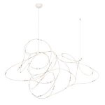 10309/21 Подвесной светильник LOFT IT Flock of Light