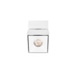 10323/B White Накладной светильник LOFT IT Focus