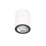 10344 White Накладной светильник LOFT IT Rush