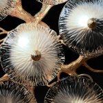 10352/800C AB Потолочный светильник LOFT IT Bloom