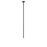 10359/1000 Black Потолочный светильник LOFT IT Cane