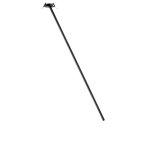 10359/1000 Black Потолочный светильник LOFT IT Cane