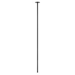 10359/1200 Black Потолочный светильник LOFT IT Cane