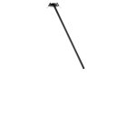 10359/600 Black Потолочный светильник LOFT IT Cane