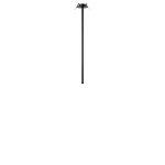 10359/600 Black Потолочный светильник LOFT IT Cane