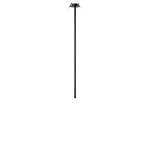10359/800 Black Потолочный светильник LOFT IT Cane