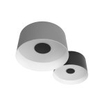 10360/2 Потолочный светильник LOFT IT Duo