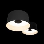 10360/2 Потолочный светильник LOFT IT Duo