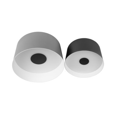 10360/2 Потолочный светильник LOFT IT Duo