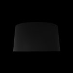 10360S Black Потолочный светильник LOFT IT Duo