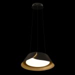 10370P Black Подвесной светильник LOFT IT Lane