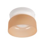 10466 Amber matte Потолочный светильник LOFT IT Totem