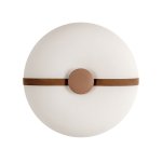 10473 Потолочный светильник LOFT IT Bolina