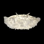 10594/780C White Потолочный светильник LOFT IT Clizia