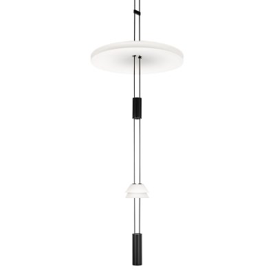 10598C Подвесной светильник LOFT IT Flamingo