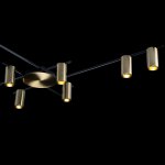 Потолочный светильник Loft it 8120C-10 Tribes