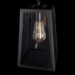 Подвесной светильник Loft it LOFT1127 Modern filament