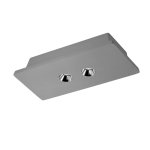 Потолочный светильник Loft it OL1072-GH/2 Architect