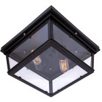 Потолочный светильник Loft it LOFT3110-2C Modern filament
