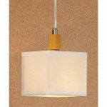 Светильник подвесной Lussole LSF-2506-01 MONTONE