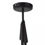 Люстра подвесная Lussole LSF-6293-06 BAGHERIA