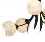 Люстра подвесная Lussole LSF-6293-06 BAGHERIA