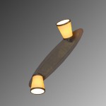 Светильник поворотный спот Lussole LSL-2301-02 FOSSOMBRONE