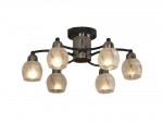 Люстра Lussole LSL-8503-06 VIESTE