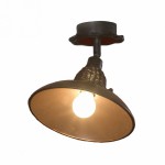 Светильник поворотный спот Lussole LSN-1077-01 ANCONA