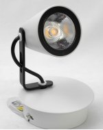 Светильник поворотный спот Lussole LSN-4101-01 MERANO