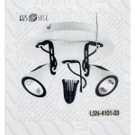 Светильник потолочный Lussole Loft LSN-4101-03