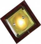Светильник настенно-потолочный Lussole LSN-4511-01 Angri